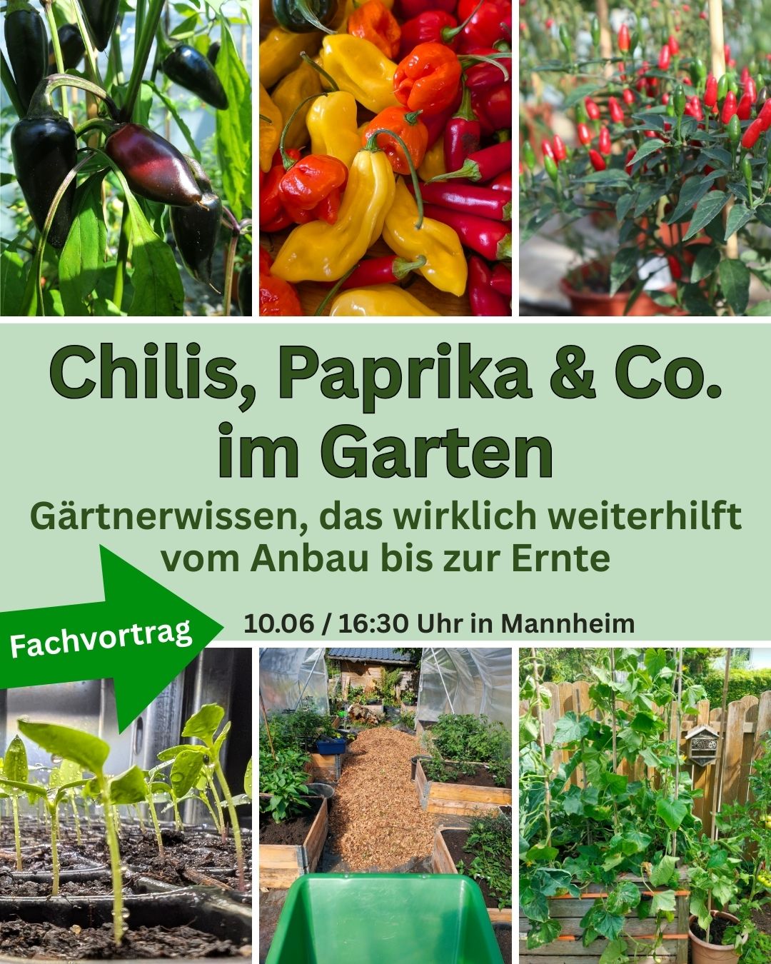 WhatsApp Bild 2025-05-09 um 12.43.13_e6b7b436.jpg
