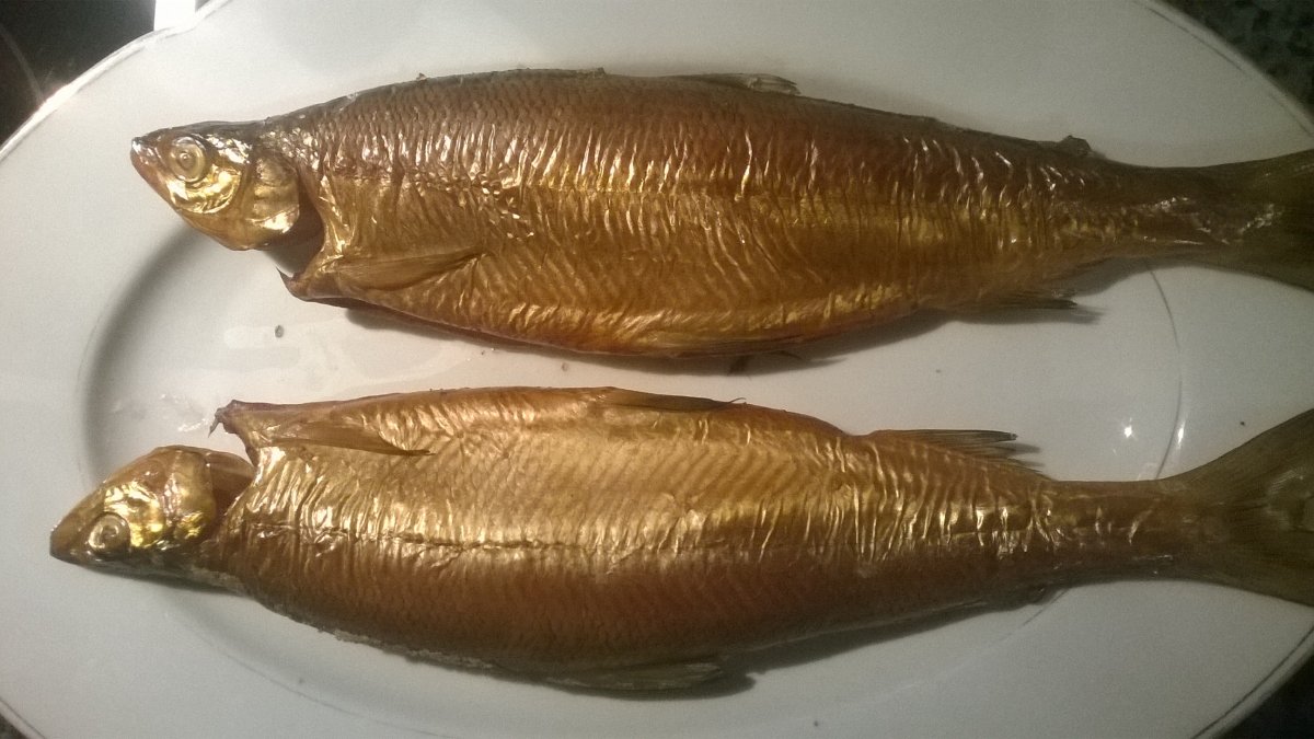 WP_20180407_006.jpg