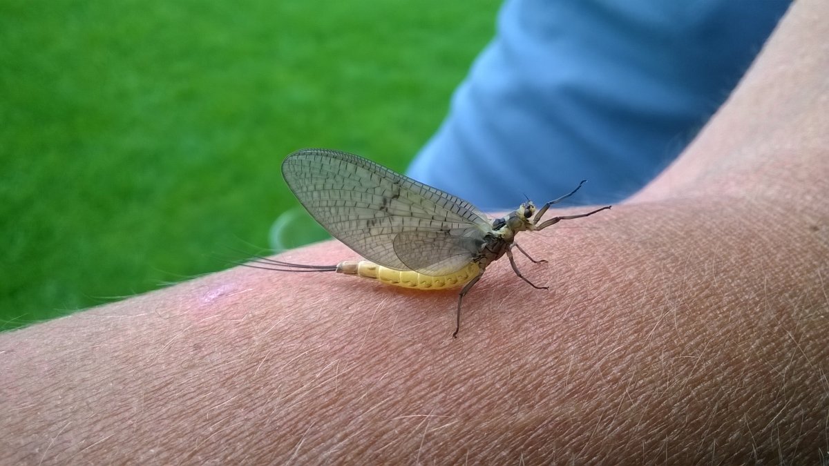 WP_20190525_026.jpg
