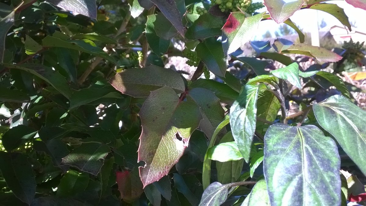 WP_20210324_001.jpg