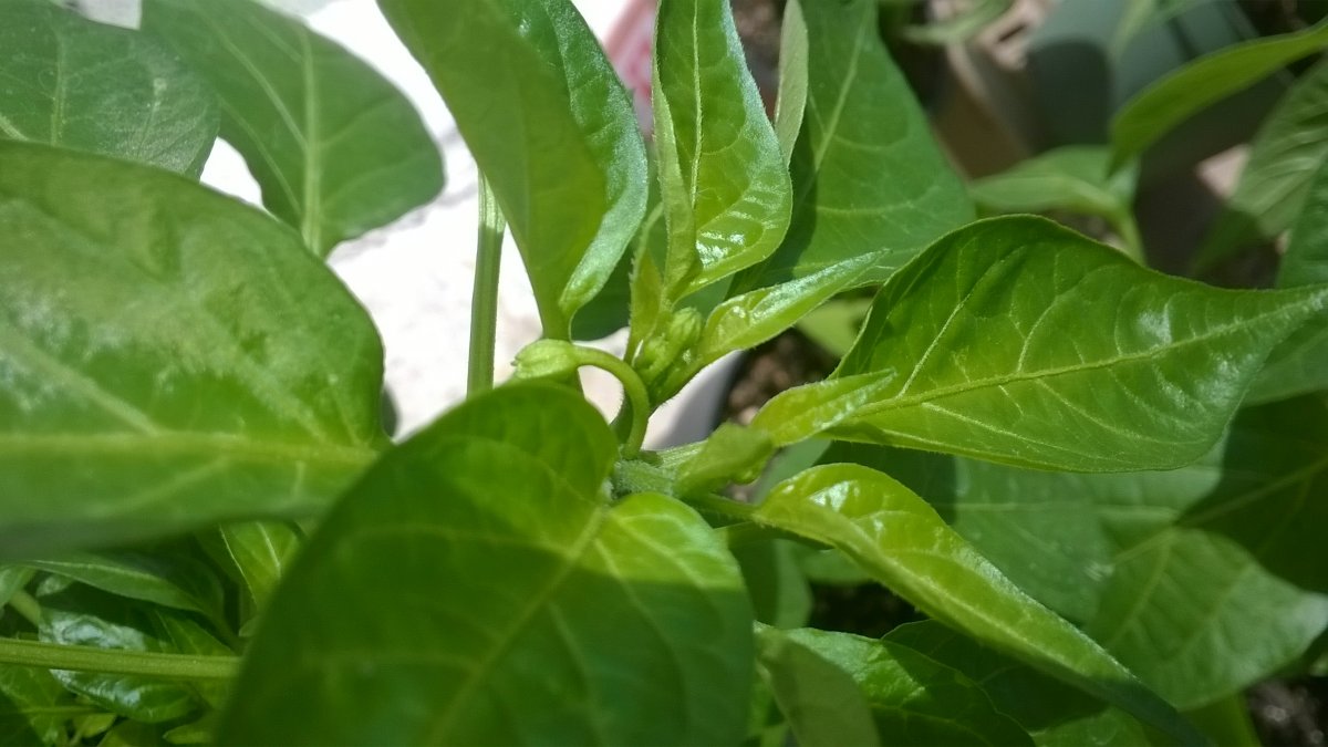 WP_20210328_008.jpg