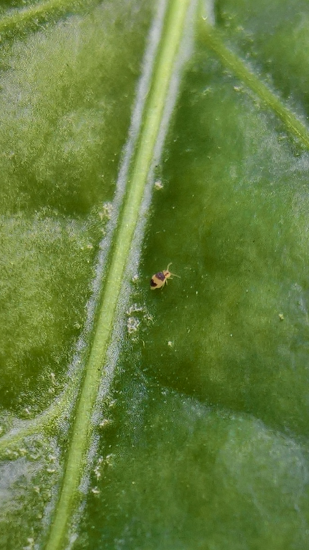 wp_ss_20170619_0001.png