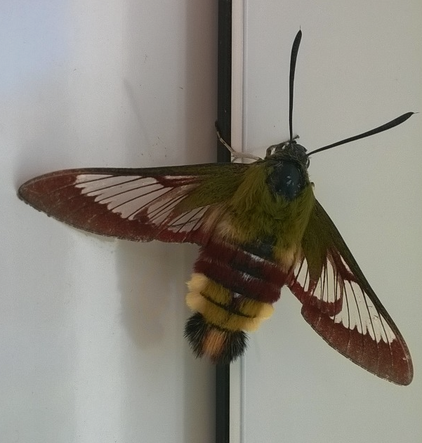 wp_ss_20201009_0002 (2).png