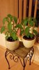 20170301_193418.jpg