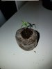 20170309_113233.jpg