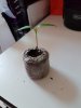 20170309_113255.jpg