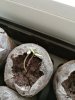IMG_20170313_134833.jpg
