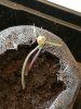 IMG_20170313_170106.jpg