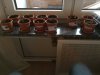 IMG_20170313_175505.jpg