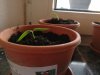 IMG_20170313_175514.jpg