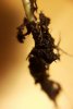 20170323_015938.jpg