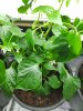20170327_124410.jpg
