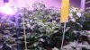 20170331_183604-1067x600.jpg