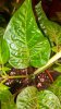 20170331_183629-600x1067.jpg