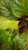 20170331_183636-600x1067.jpg