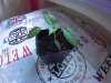 2017_0426_180902_002.JPG