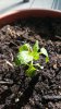 20170430_103757.jpg