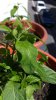20170430_161648.jpg