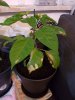 20170521_020052.jpg
