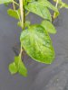 20170522_202133_resized.jpg