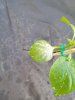 20170522_202140_resized.jpg