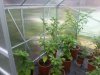 20170605_104446.jpg