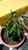 20170613_124553.jpg