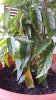 20170617_084130.jpg