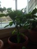 IMG_8390.JPG