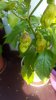 20170620_182659_001.jpg