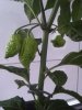 IMG_20170624_193714.jpg