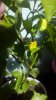 20170626_175415.jpg