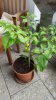 20170627_183052.jpg