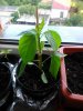DSC_8176.jpg