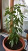 20170630_131720.jpg