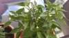 20170630_131857.jpg
