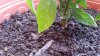 20170630_132035.jpg