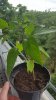 20170701_134848.jpg