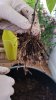 IMG-20170703-WA0010.jpg