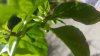 20170705_172910.jpg