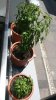 20170706_124746.jpg