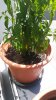 20170706_124758.jpg