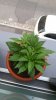 20170707_061954.jpg