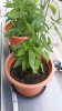 20170707_061958.jpg