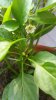 20170708_150403.jpg