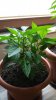 20170710_131643.jpg