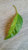20170712_202939.jpg