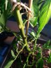 20170808_230145.jpg
