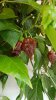 20170820_165124.jpg
