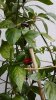 20170904_141140.jpg